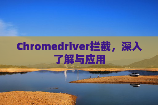 Chromedriver拦截，深入了解与应用